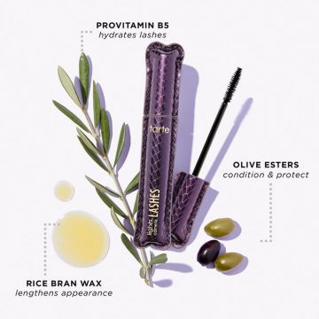 Tarte Lights, Camera, Lashes Tm, 4-In-1 Mascara (Volumizes- Lengthens - Curls - Conditions) Lashes, 2-In-1 Wand, 24hr Wear, Smudge-Proof, Flake-Free - 7ml 